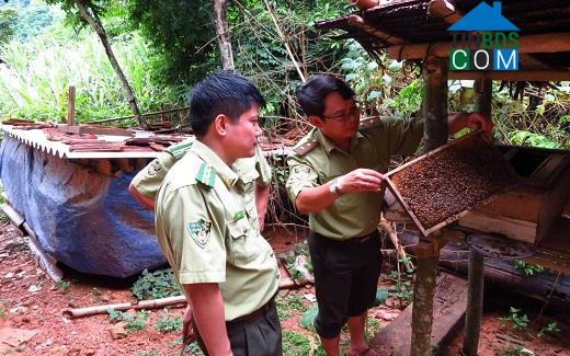 Hình ảnh Quan Sơn, Thanh Hóa