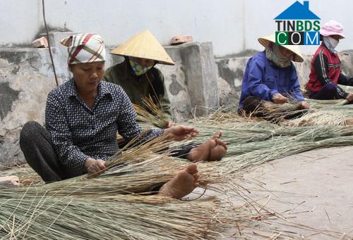 Hình ảnh Quảng Chính, Thanh Hóa