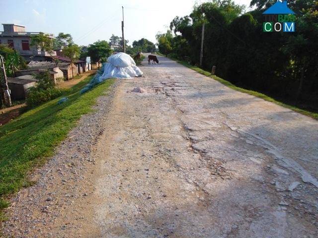 Hình ảnh Thiệu Hóa, Thanh Hóa