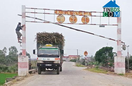 Hình ảnh Thiệu Quang, Thanh Hóa