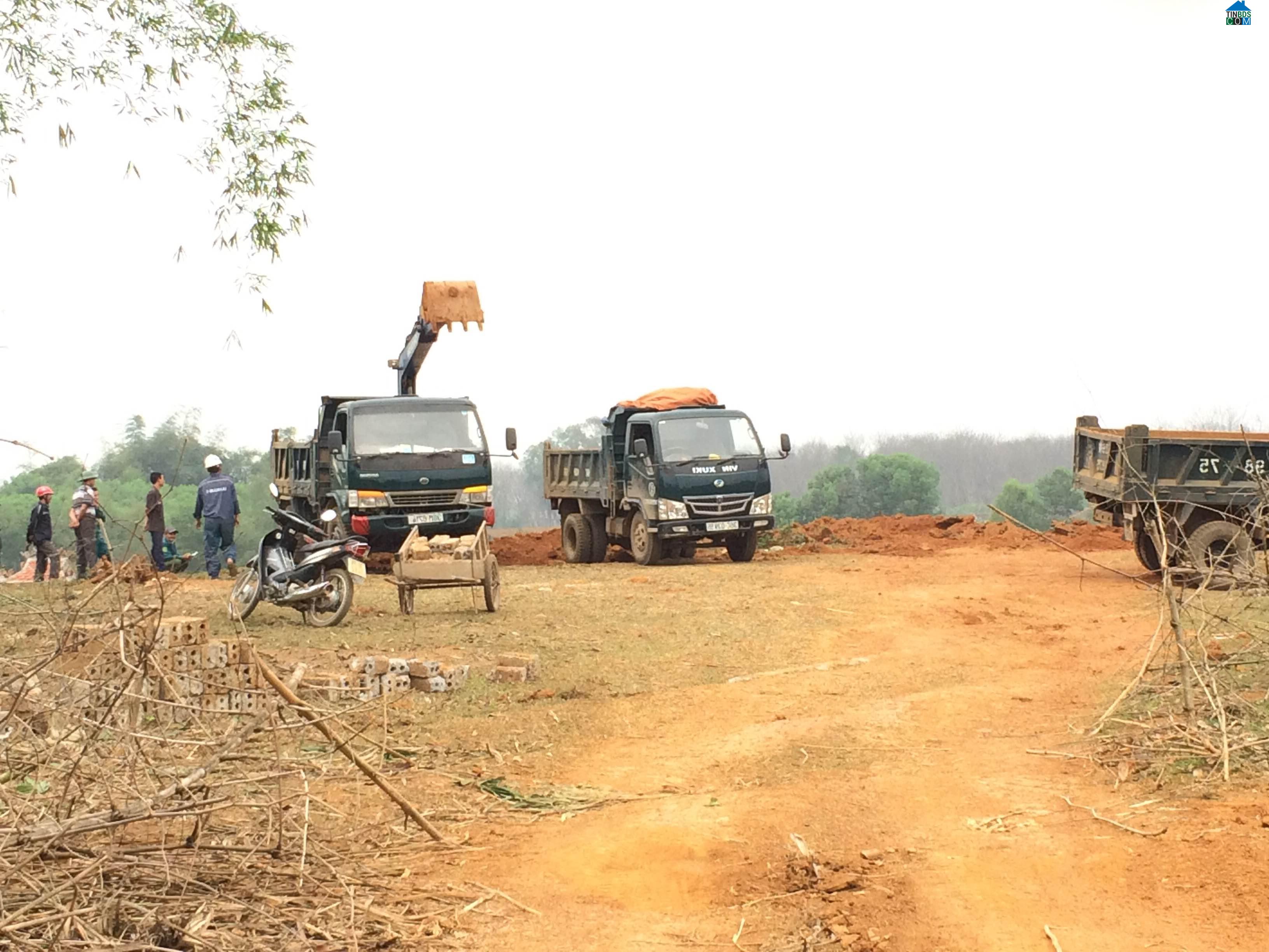 Hình ảnh Thọ Bình, Thanh Hóa