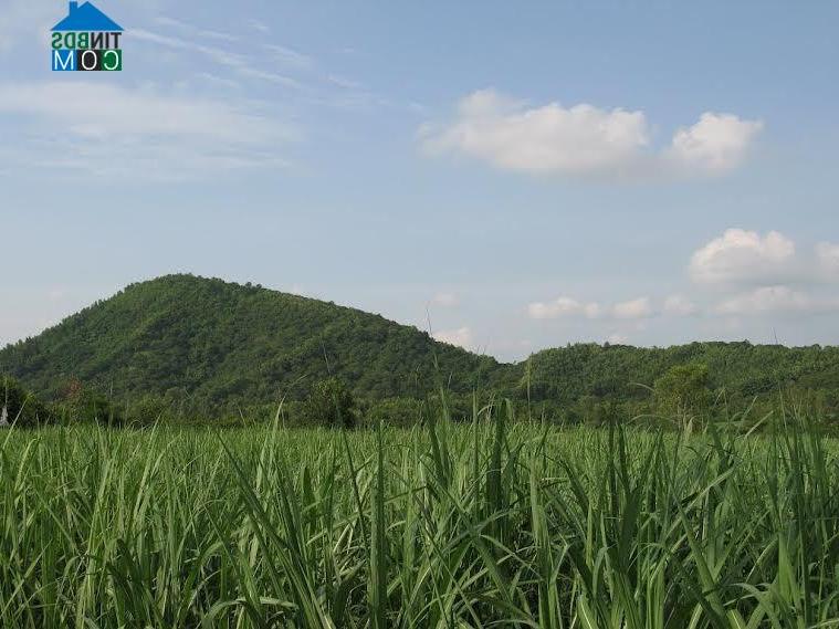 Hình ảnh Minh Sơn, Thanh Hóa