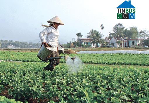 Hình ảnh Như Thanh, Thanh Hóa