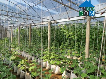 Hình ảnh Quý Lộc, Thanh Hóa