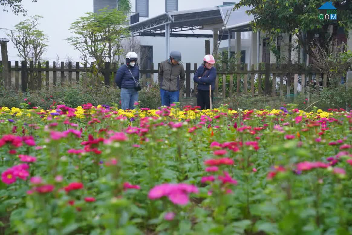 Hình ảnh Dương Nỗ, Huế