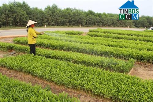 Hình ảnh Hưng Lộc, Huế