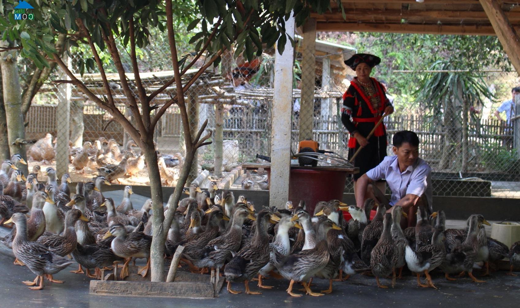 Hình ảnh Bình Xa, Tuyên Quang