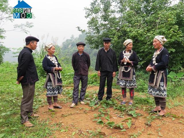 Hình ảnh Hùng Lợi, Tuyên Quang