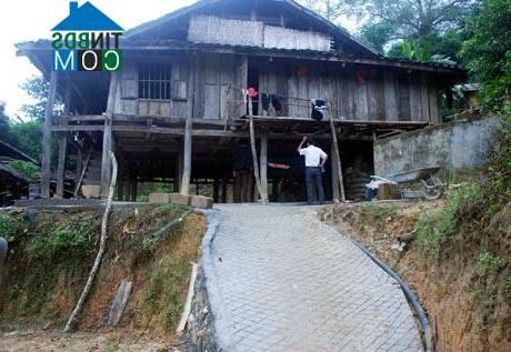 Hình ảnh Mậu Duệ, Tuyên Quang