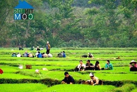 Hình ảnh Phú Linh, Tuyên Quang