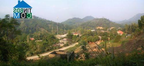 Hình ảnh Tân Thanh, Tuyên Quang