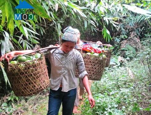 Hình ảnh Trung Hà, Tuyên Quang