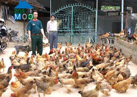 Hình ảnh Trường Sinh, Tuyên Quang