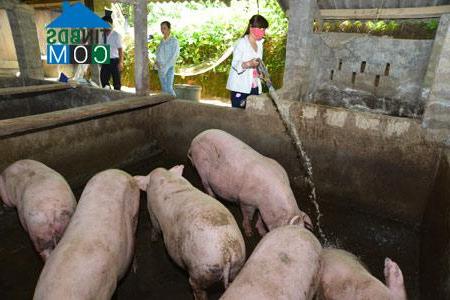 Hình ảnh Yên Lập, Tuyên Quang