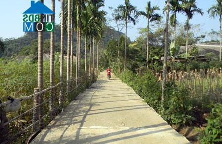 Hình ảnh Yên Nguyên, Tuyên Quang