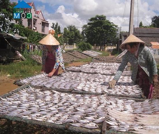 Hình ảnh Mỹ Long, Vĩnh Long