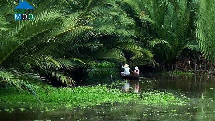 Hình ảnh Nhị Long, Vĩnh Long
