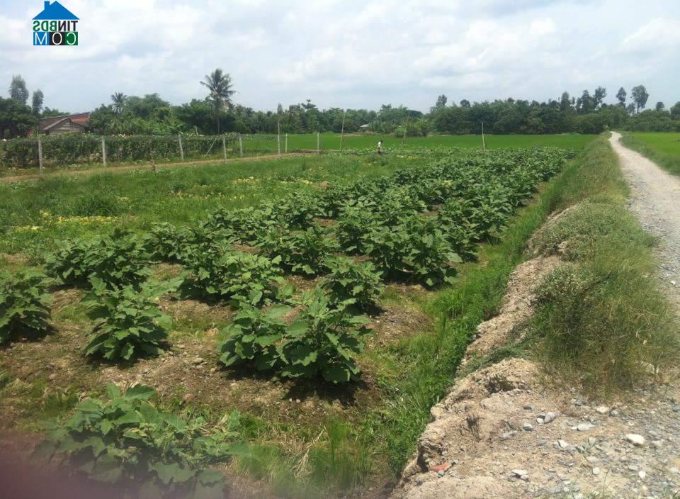 Hình ảnh Nhơn Phú, Vĩnh Long