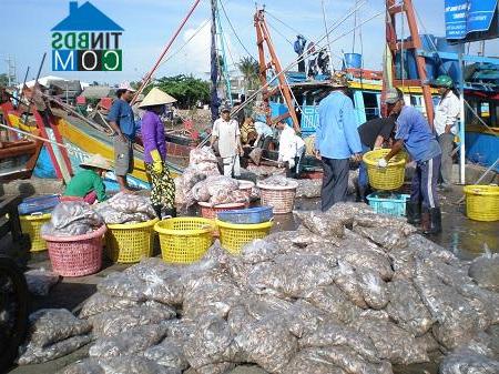 Hình ảnh Đông Hải, Vĩnh Long