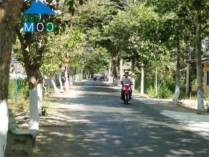 Hình ảnh Hương Mỹ, Vĩnh Long