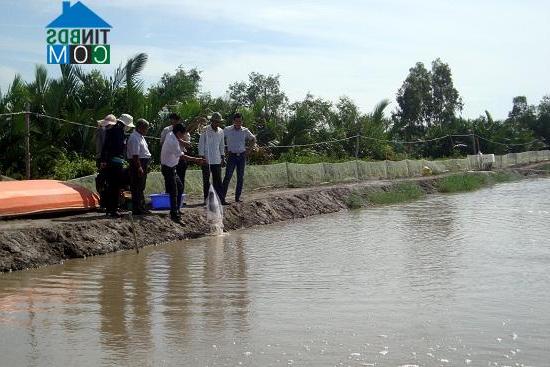 Hình ảnh Long Vĩnh, Vĩnh Long