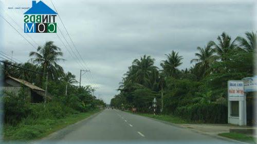 Hình ảnh Tân Thành Bình, Vĩnh Long