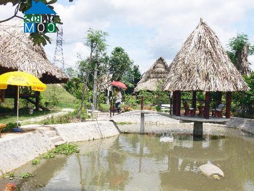 Hình ảnh Phú Phụng, Vĩnh Long