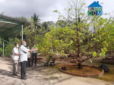 Hình ảnh Quới Điền, Vĩnh Long