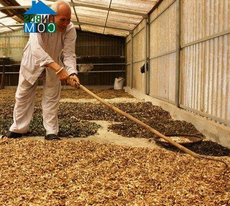 Hình ảnh Tam Bình, Vĩnh Long