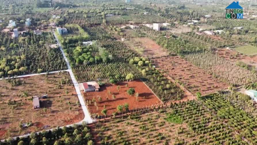 Hình ảnh Buôn Hồ, Đắk Lắk