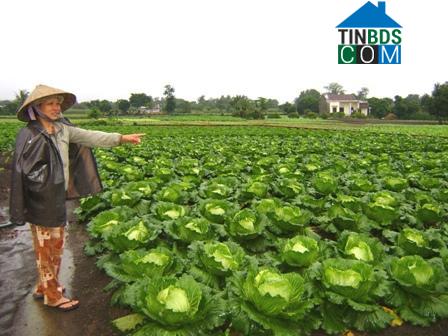 Hình ảnh Ea Kar, Đắk Lắk