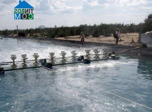 Hình ảnh Phú Yên, Đắk Lắk