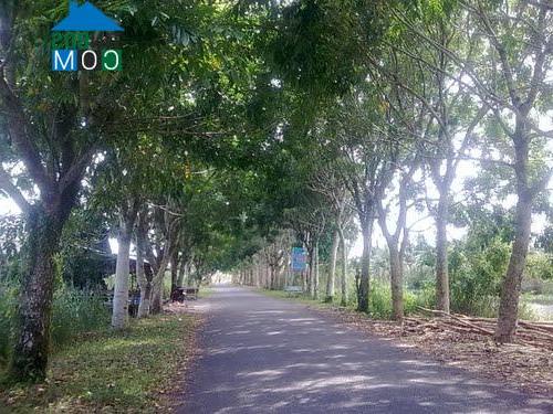 Hình ảnh Vĩnh Hòa, An Giang