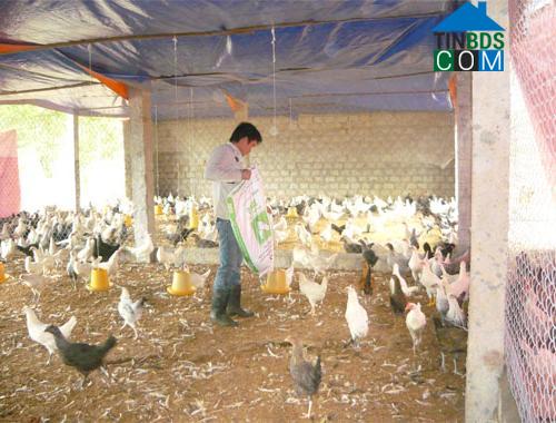 Hình ảnh Tam Hợp, Nghệ An