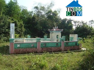 Hình ảnh Vạn Tường, Quảng Ngãi