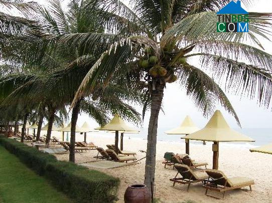 Hình ảnh Tiên Điền, Hà Tĩnh