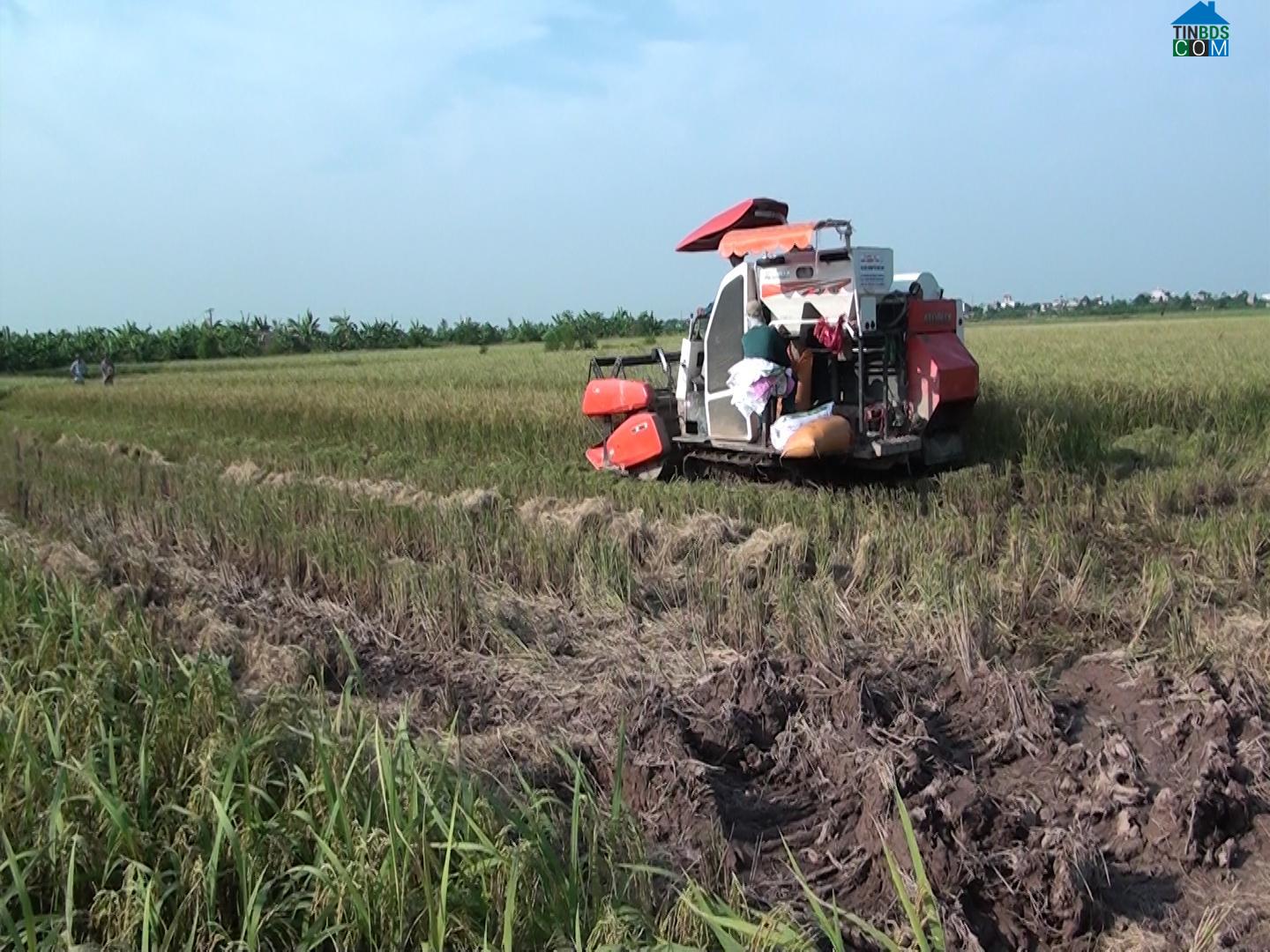 Hình ảnh Thái Bình, Hưng Yên