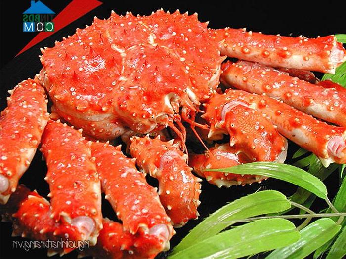 Hình ảnh Nha Trang, Khánh Hòa