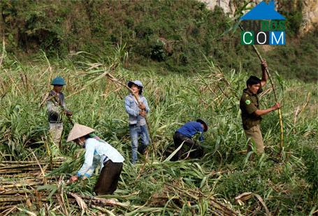 Hình ảnh Tân Phong, Lai Châu