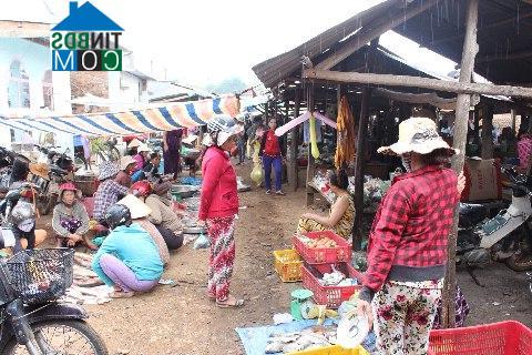 Hình ảnh Nam Thành, Lâm Đồng