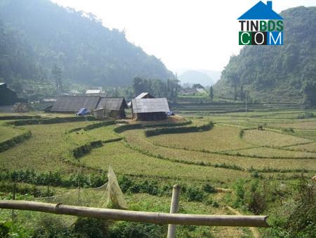 Hình ảnh Bắc Hà, Lào Cai