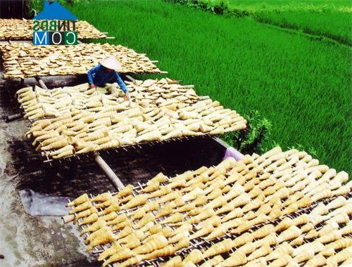 Hình ảnh Lâm Thượng, Lào Cai