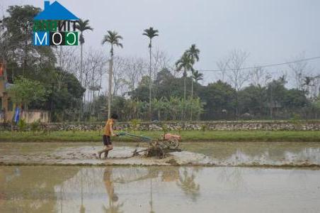 Hình ảnh Lục Yên, Lào Cai