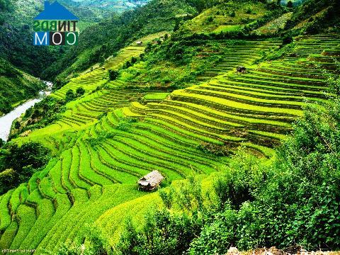Hình ảnh Mù Cang Chải, Lào Cai