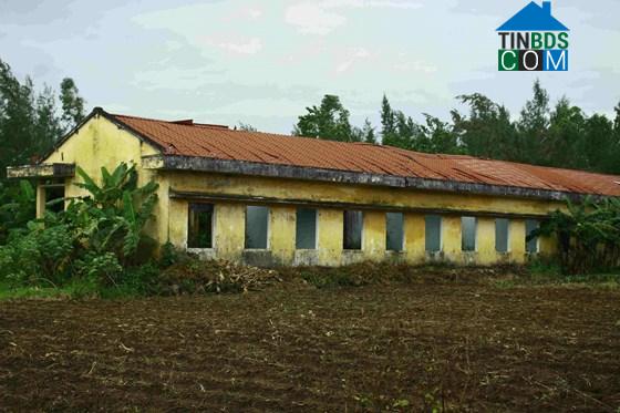 Hình ảnh Đông Sơn, Quảng Ngãi