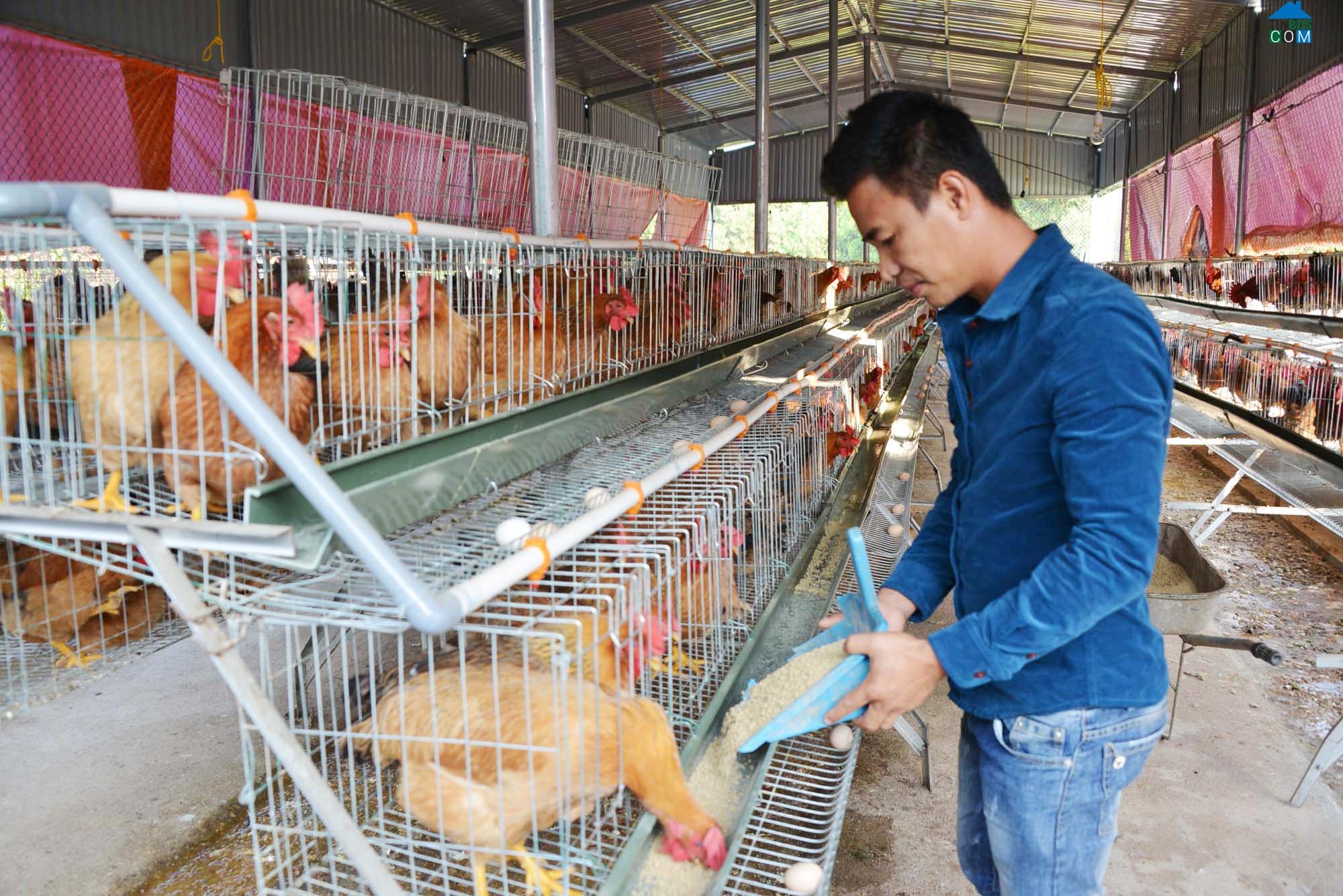 Hình ảnh Quảng Tân, Quảng Ninh