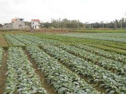 Hình ảnh Quảng Yên, Quảng Ninh