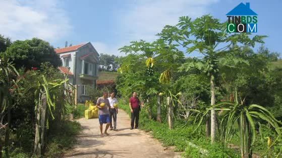 Hình ảnh Yên Châu, Sơn La