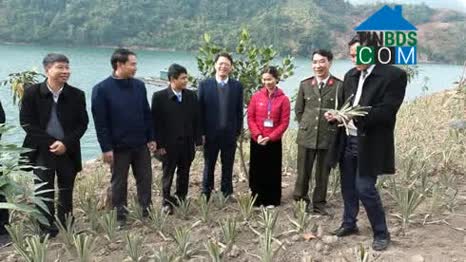 Hình ảnh Quỳnh Nhai, Sơn La