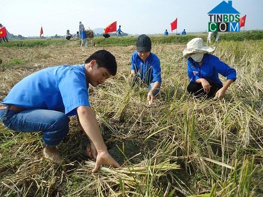 Hình ảnh Đông Sơn, Thanh Hóa